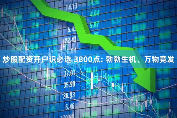 炒股配资开户识必选 3800点: 勃勃生机、万物竞发