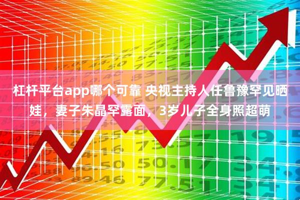 杠杆平台app哪个可靠 央视主持人任鲁豫罕见晒娃，妻子朱晶罕露面，3岁儿子全身照超萌